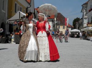 Foto: Ljubo Jančič (Dogodki v občini Radovljica 2016)